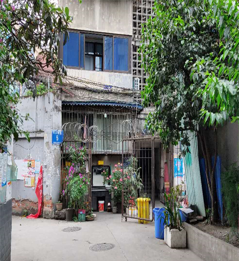 府南街道改造 府南街道改造